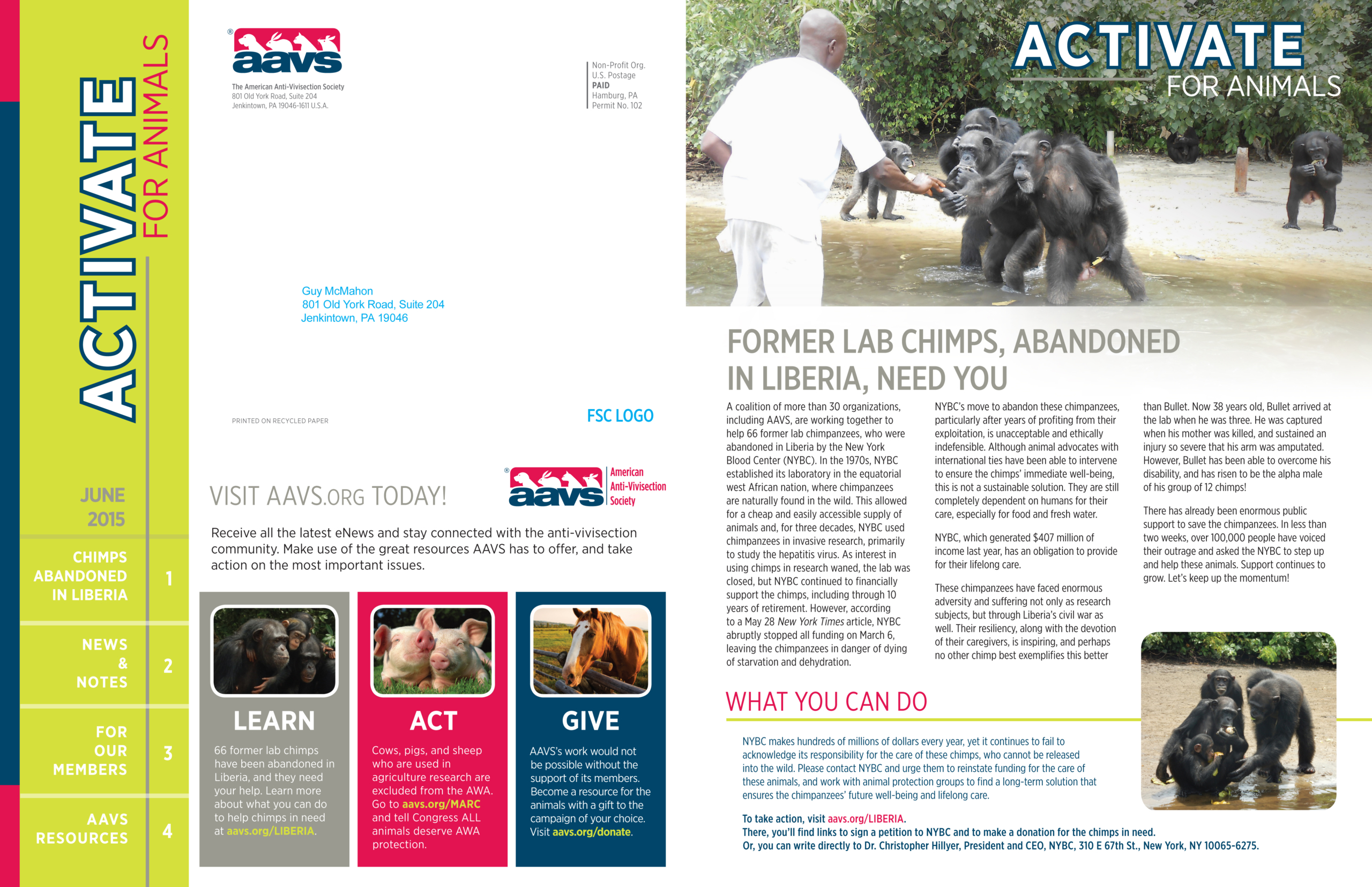 AAVS - Newsletter - Chimp Issue - Covers