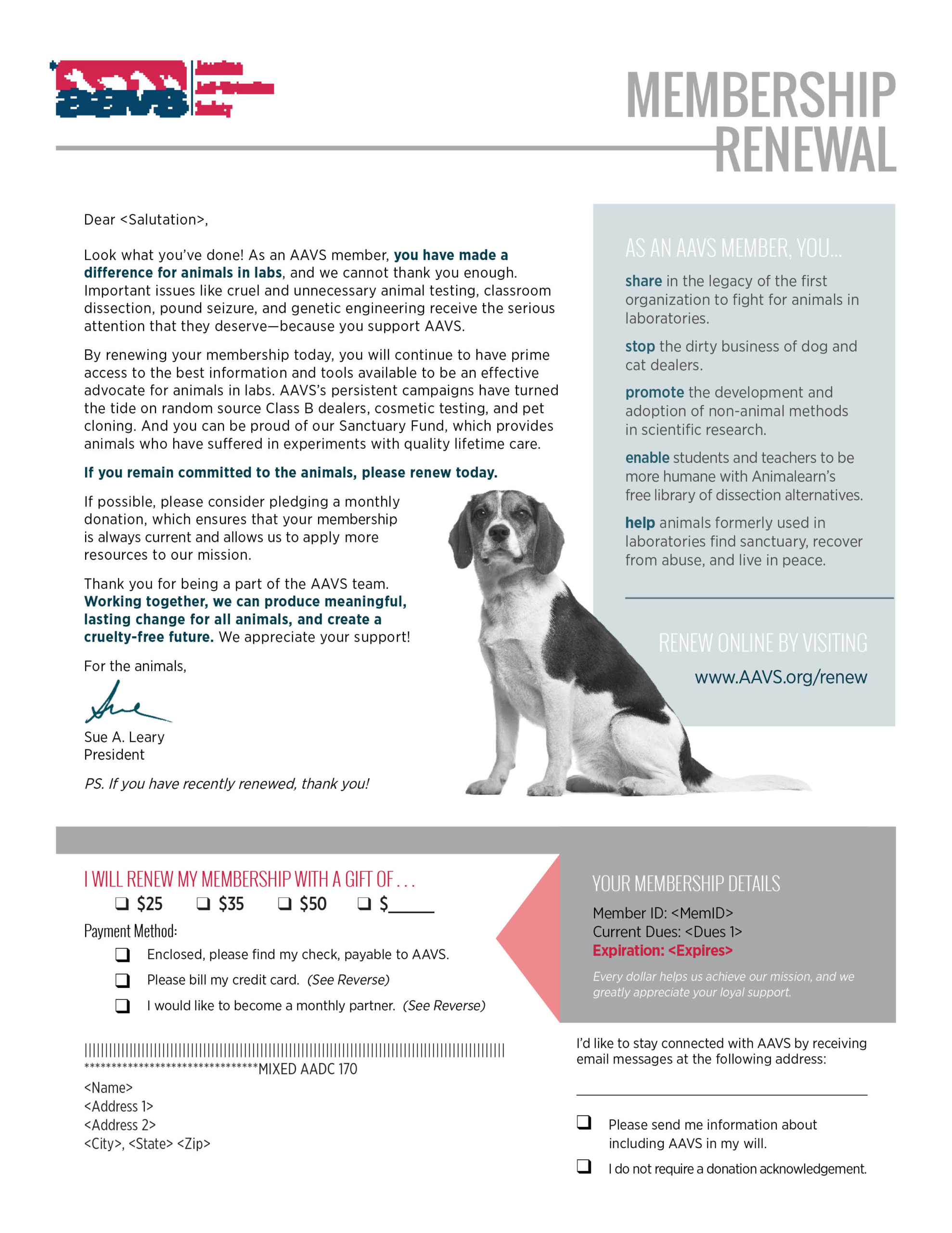 AAVS - Membership Renewal Mailing - First Notice - Letter Front