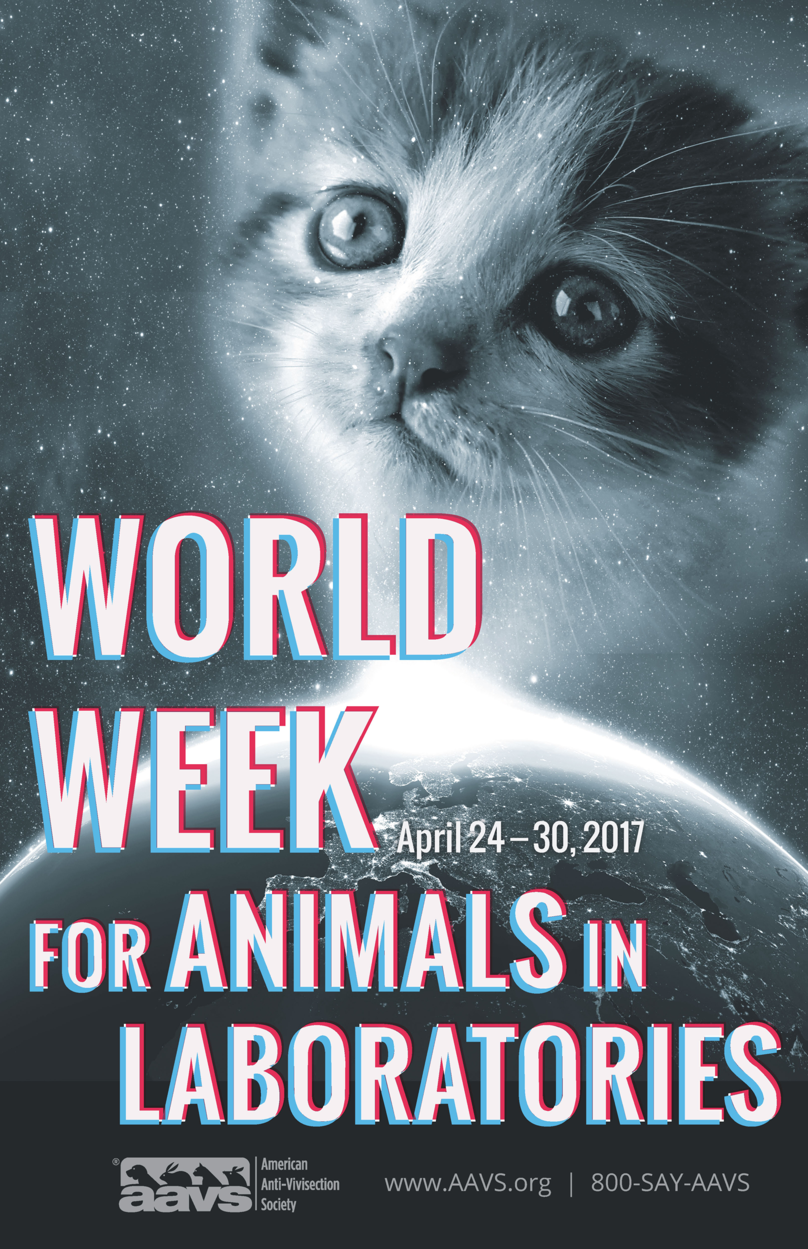 AAVS - Poster - World Week for Animals in Laboratories - Cat