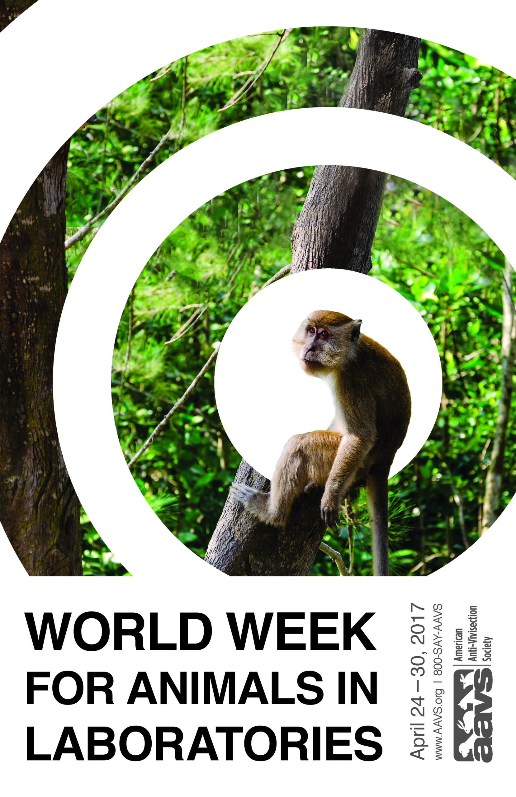 AAVS - Poster - World Week for Animals in Laboratories - Monkey